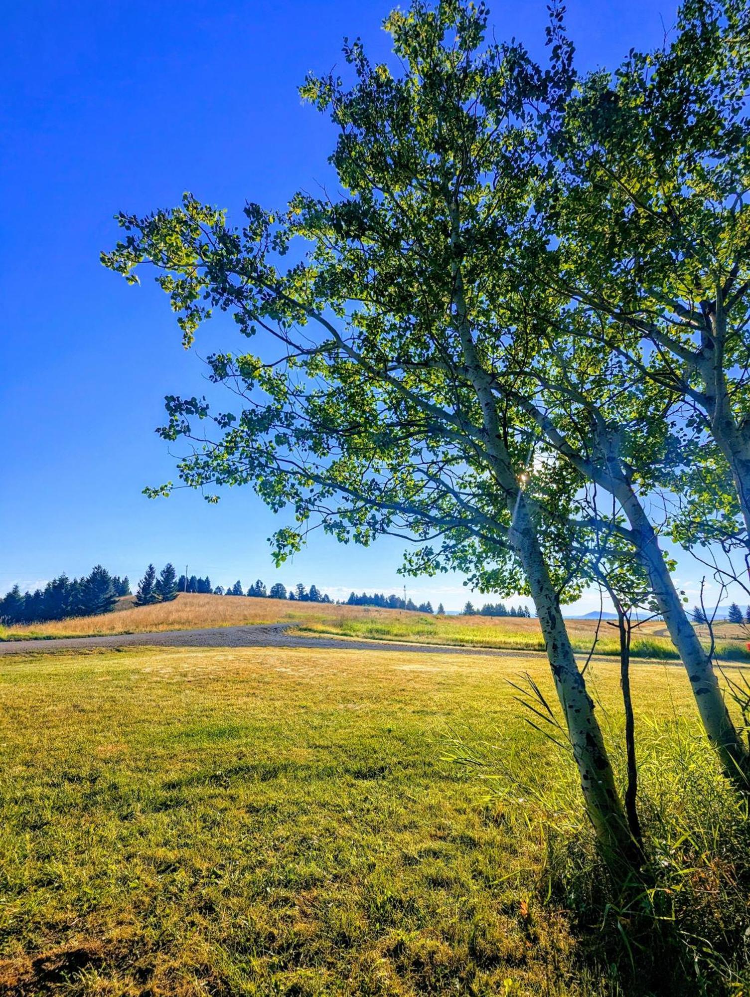 Отель Grassy Mountain Ranch White Sulphur Springs Экстерьер фото